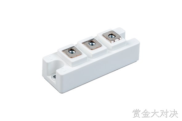 赏金大对决 Rectifier Bridge Module