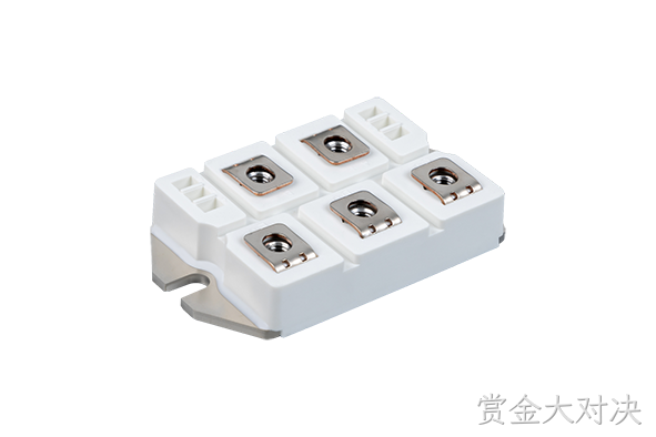 赏金大对决 Rectifier Bridge Module